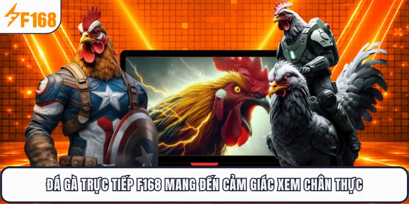 Đá gà trực tiếp F168 mang đến cảm giác xem chân thực