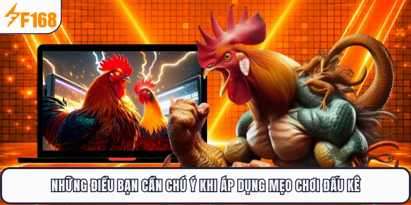 Những điều bạn cần chú ý khi áp dụng mẹo chơi đấu kê